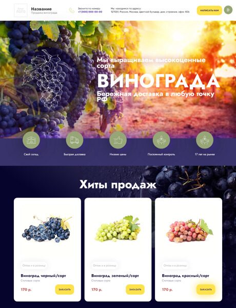 Готовый Сайт-Бизнес № 4685899 - Виноград (Превью)