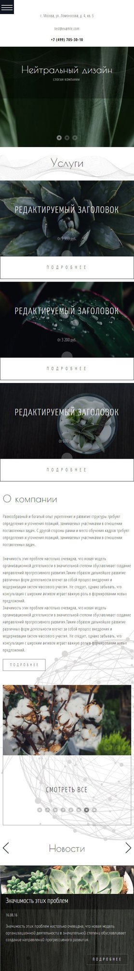 Мобильная версия дизайна № 62341