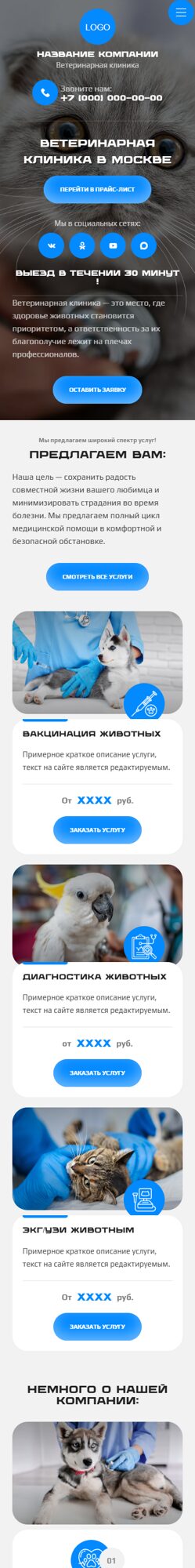 Мобильная версия дизайна № 104810