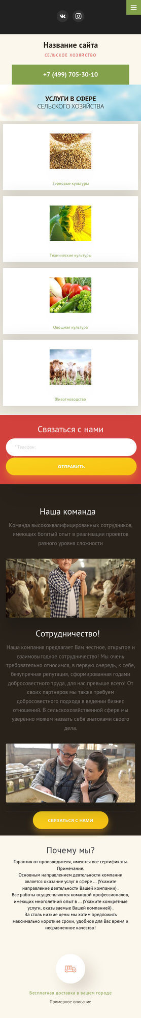Мобильная версия дизайна № 77856