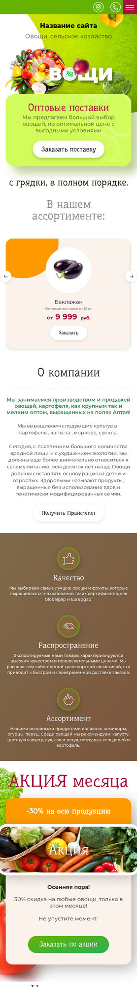Мобильная версия дизайна № 78619