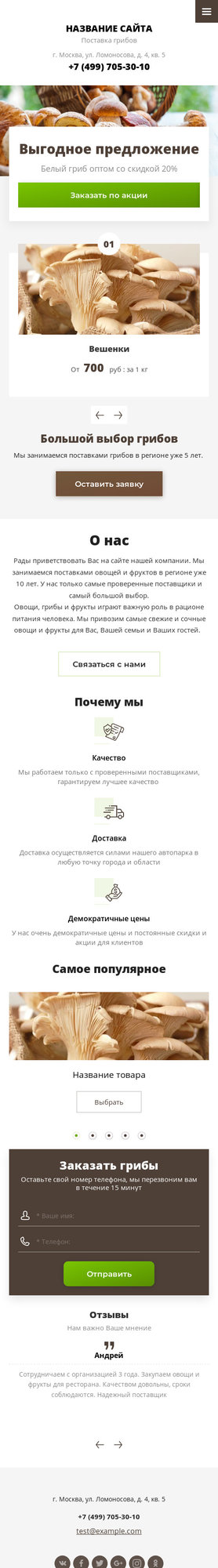 Мобильная версия дизайна № 79075