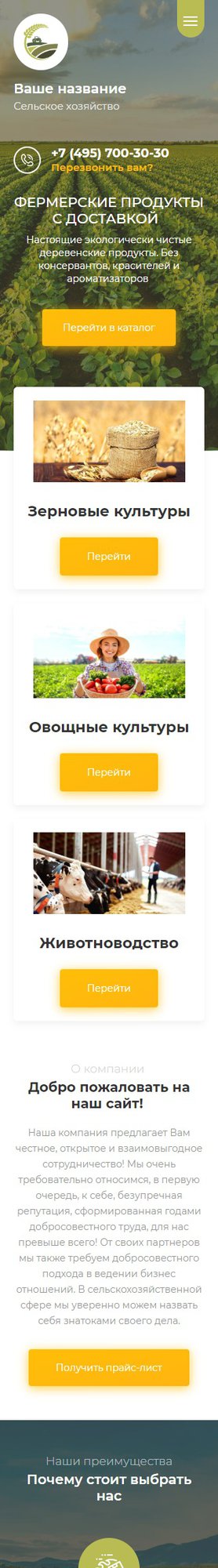 Мобильная версия дизайна № 80430