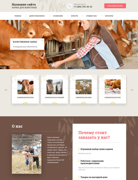 Готовый Сайт-Бизнес № 2181665 - Корма и продукты для животных (Превью)
