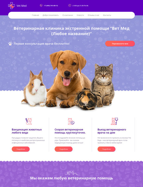Готовый Сайт-Бизнес № 2248084 - Ветеринария (Превью)