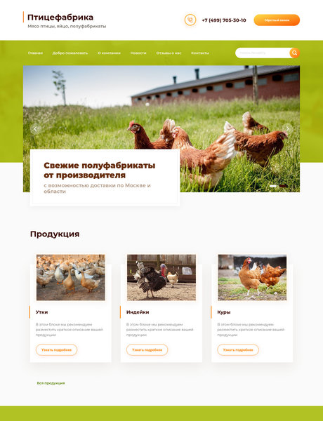 Готовый Сайт-Бизнес № 2290397 - Мясо птицы яйцо полуфабрикаты (Превью)
