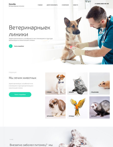 Готовый Сайт-Бизнес № 2538199 - Ветеринария (Превью)