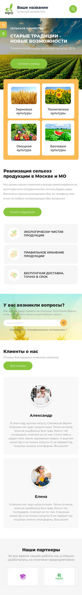 Мобильная версия дизайна № 81138