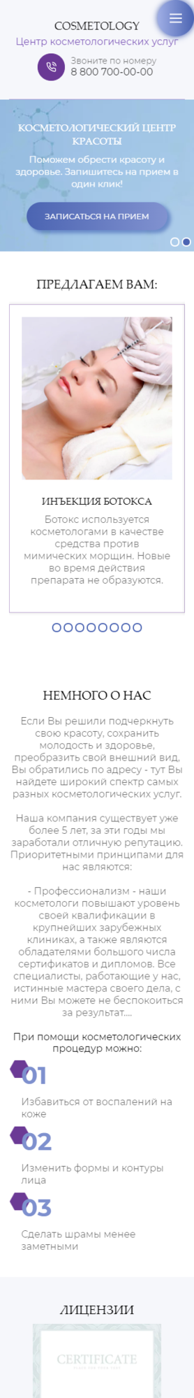 Мобильная версия дизайна № 85834