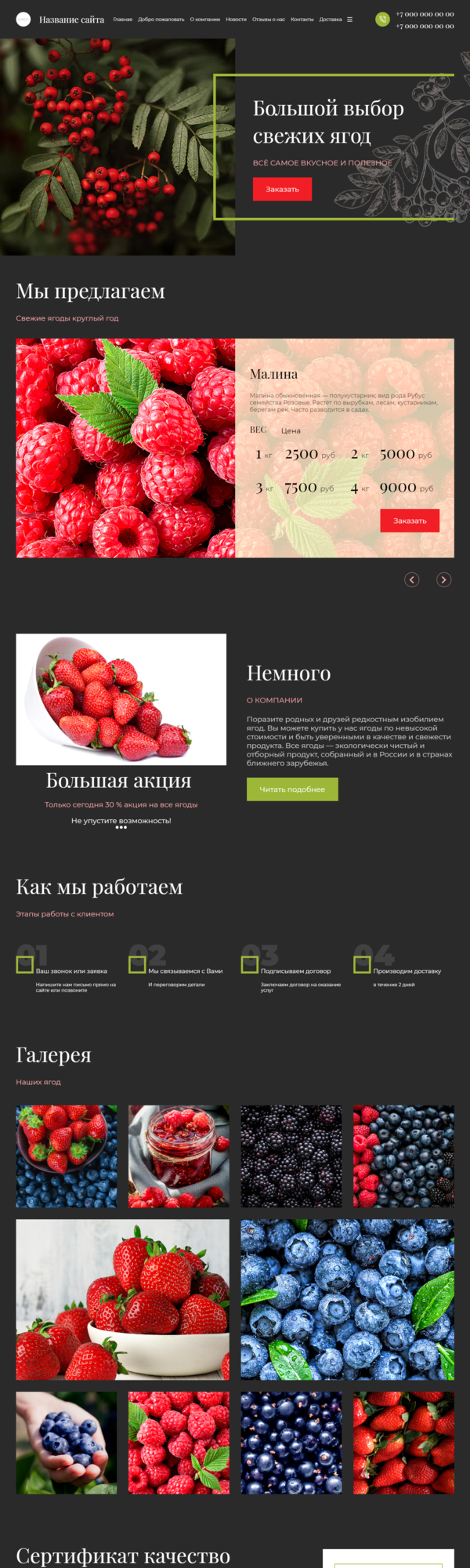 Готовый Сайт-Бизнес № 3599196 - Сайт для продажи ягод (Десктопная версия)
