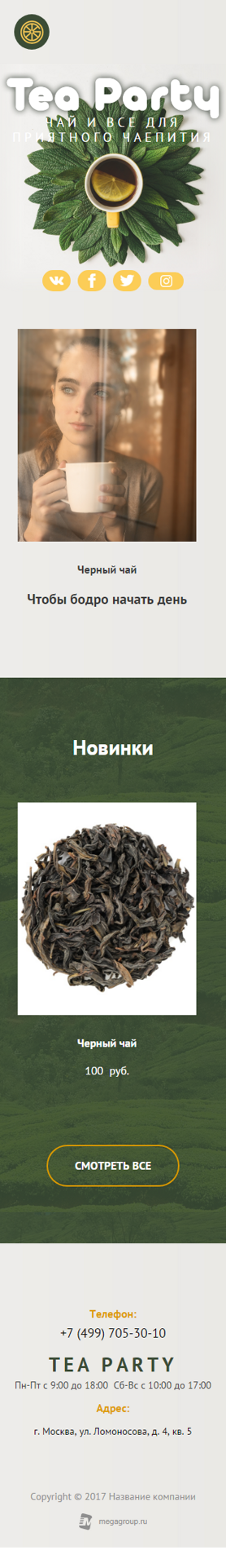 Мобильная версия дизайна № 66561