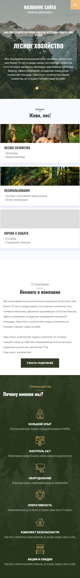 Мобильная версия дизайна № 83887