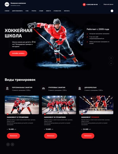 Готовый Сайт-Бизнес № 4543679 - Хоккейная школа (Превью)