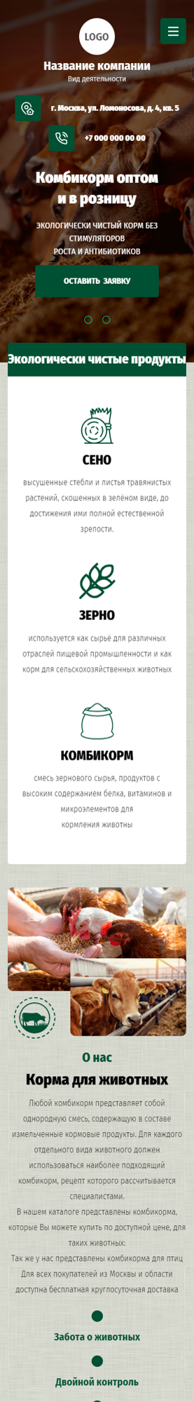 Мобильная версия дизайна № 91747