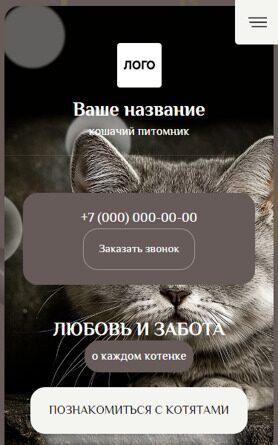 Мобильная версия дизайна № 97732