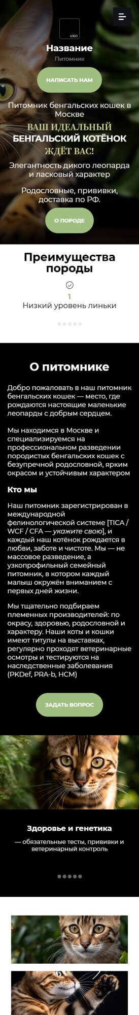 Мобильная версия дизайна № 101203