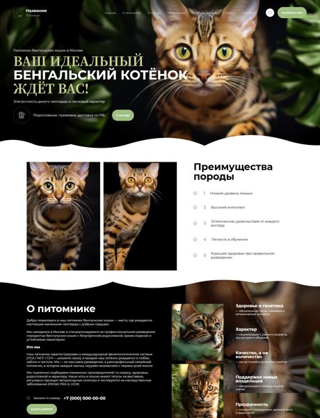 Дизайн № 101203