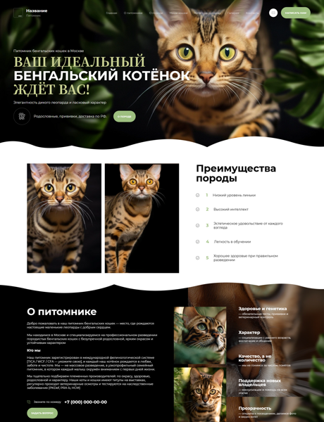 Дизайн № 101203
