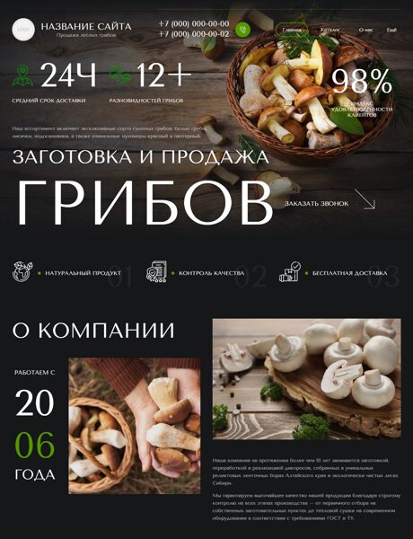 Готовый Сайт-Бизнес № 7436472 - Продажа лесных грибов (Превью)