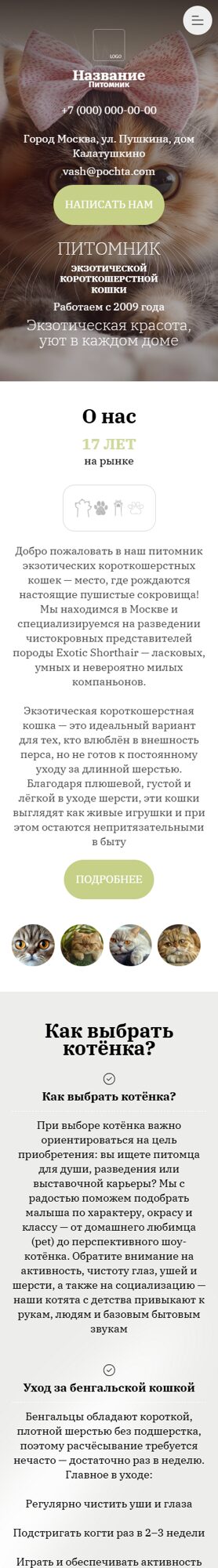 Мобильная версия дизайна № 101353
