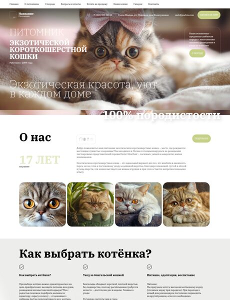 Дизайн № 101353