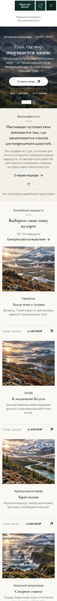 Мобильная версия дизайна № 107451